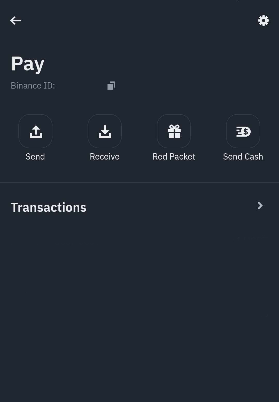 Binance Pay