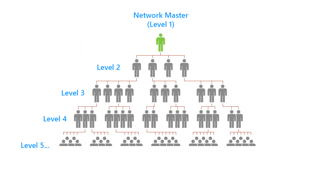 Network Structure